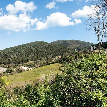 A20 - Poggio, Singola Con Corte Apartment *
