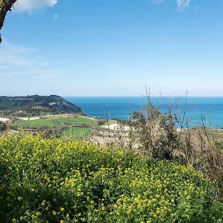 A20 - Poggio, Singola Con Corte Apartamento *